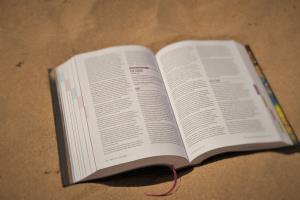/image.axd?picture=/2016/8/ReadTheBook/mini/The Phish Companion - 02 Sand.jpg