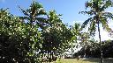 /image.axd?picture=/2009/12/holger_miamitrip2/mini/Miami Day 2 (16).jpg