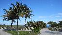 /image.axd?picture=/2009/12/holger_miamitrip2/mini/Miami Day 2 (17).jpg