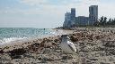 /image.axd?picture=/2009/12/holger_miamitrip2/mini/Miami Day 2 (21).jpg