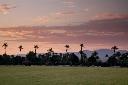 /image.axd?picture=/2009/9/19981103/mini/Empire Polo Club, Indio, CA (01).jpg