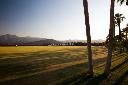 /image.axd?picture=/2009/9/19981103/mini/Empire Polo Club, Indio, CA (12).jpg