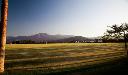 /image.axd?picture=/2009/9/19981103/mini/Empire Polo Club, Indio, CA (14).jpg