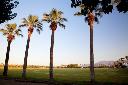 /image.axd?picture=/2009/9/19981103/mini/Empire Polo Club, Indio, CA (15).jpg