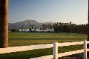 /image.axd?picture=/2009/9/19981103/mini/Empire Polo Club, Indio, CA (16).jpg