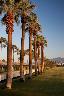 /image.axd?picture=/2009/9/19981103/mini/Empire Polo Club, Indio, CA (20).jpg