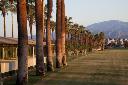 /image.axd?picture=/2009/9/19981103/mini/Empire Polo Club, Indio, CA (21).jpg