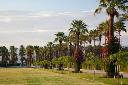 /image.axd?picture=/2009/9/19981103/mini/Empire Polo Club, Indio, CA (22).jpg
