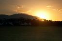 /image.axd?picture=/2009/9/19981103/mini/Empire Polo Club, Indio, CA (24).jpg