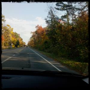 /image.axd?picture=/2013/11/FirstsAndCounting/mini/Fall.jpg