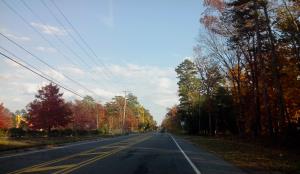 /image.axd?picture=/2014/11/2013-11-02 More Shopping/mini/Autumn colors.jpg