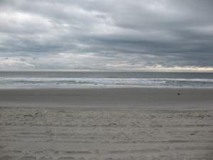 /image.axd?picture=/2014/11/2013-11-03 Last day/mini/Boardwalk 08.jpg